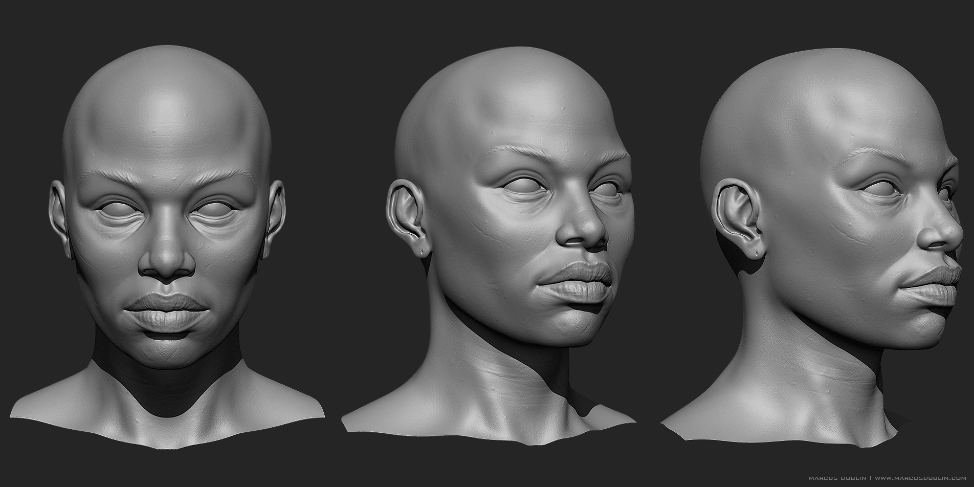 BlackFemaleHead_Sculpt_01.jpg